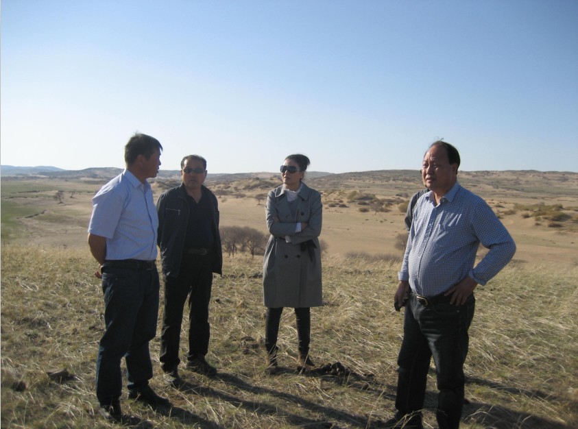 發(fā)揮資源優(yōu)勢，提高產(chǎn)業(yè)鏈競爭力——協(xié)會(huì)為企業(yè)間的合作搭建平臺(tái)