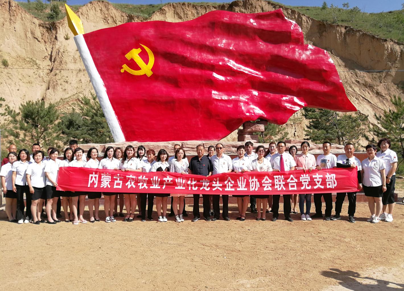 內蒙古農牧業(yè)產(chǎn)業(yè)化龍頭企業(yè)協(xié)會(huì )走進(jìn)石人灣村開(kāi)展“辦實(shí)事、解難題，送溫暖，傳黨恩”公益活動(dòng)